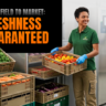 How Farmers Can Reduce Losses Due to the Short Shelf Life of Produce