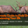 The Ultimate Guide to Field Dressing and Processing Your Elk