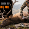 The Ultimate Guide to Field Dressing and Processing Your Elk