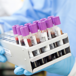 Medical & Laboratory