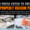 FROM FRESH CATCH TO FREEZER