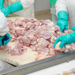 Processed Poultry
